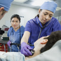 What Types of Health Care Services are Covered by California's Health Care System?