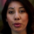 What is the California Health Access Program?
